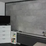 Apartment Haus Cerny Bad Goisern