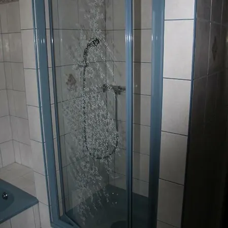 Haus Cerny アパート バート・ゴイーザーン