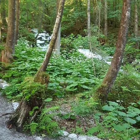 アパート Haus Cerny *