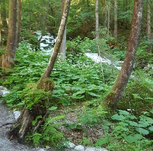 Апартаменты Haus Cerny *