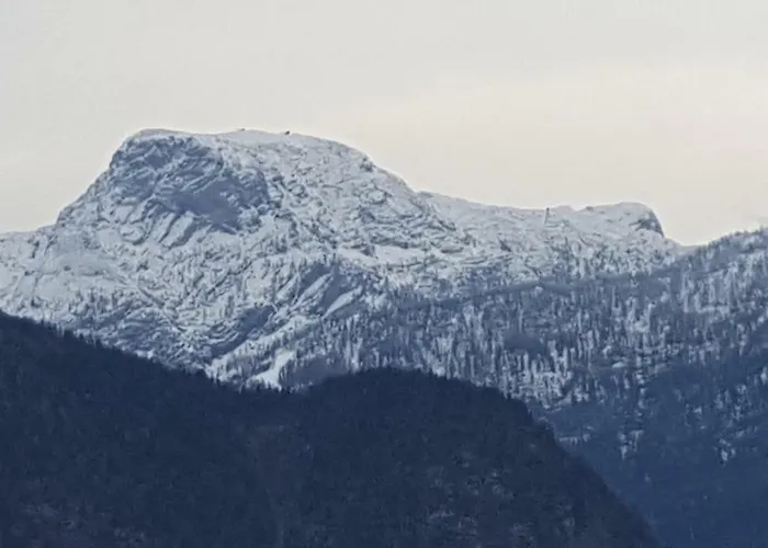 Апартаменты Haus Cerny *