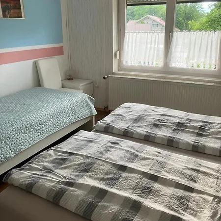 Haus Cerny Bad Goisern